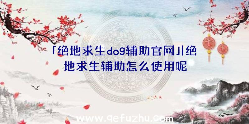 「绝地求生dog辅助官网」|绝地求生辅助怎么使用呢